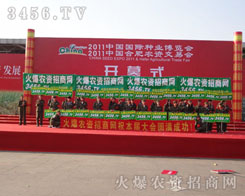 �Զ��Ļ�������