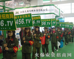 �͑�(h��)��Ч�����҂���������