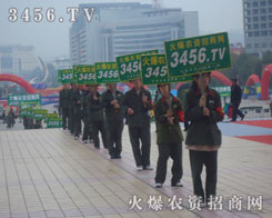 ������Գ�Խ���ˑB(t��i)���F(xi��n)��ɽ�|ֲ������