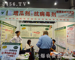 �����ĺ��r(n��ng)�弼�g(sh��)�_�l(f��)�о���