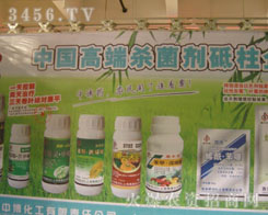 �����в���������؟(z��)�ι�˾