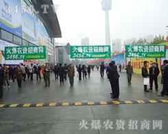 �������ڸ���������ƴ��