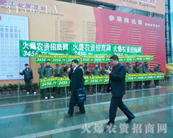 �҂��Ǳ����ϵ�����