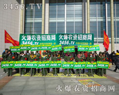 �҂��ԾG܊�b����A(ch��)�����ľGɫ��M������