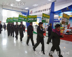 ���ˈF�Y�^�M���_���Mȡ