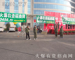 һ�l�Gɫ���L(zh��ng)������β��ӳ