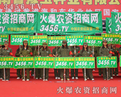 ������ԏ�(qi��ng)�ݵ�Ӱ���ռ�I(l��ng)�������Ľ��c