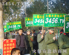 ���L(f��ng)���˝�(j��)�溣���i�e�L(zh��ng)�씈����