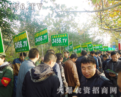 �Gɫ܊�b�����V��͑��P(gu��n)ע��Ŀ�⣬��ݰ���