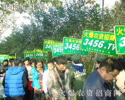 �Gɫ܊�b��ͨ��ģ��������Ą�(chu��ng)������ϲ��