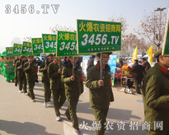 ̫ꖞ��ھGɫ����ϣ�׌��ҳ�M������Ͷ�־