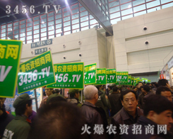 �𱬾W(w��ng)������һ֧�ܸ���ƴ�ľ�Ӣ�F(tu��n)�(du��)