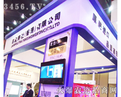 �ձ��������磨��ۣ����޹�˾