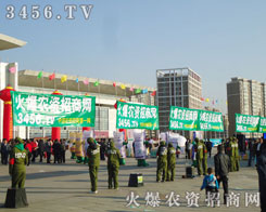 ������Ͷ���ǻ��r(n��ng)�Y�W(w��ng)�ƄٺͰl(f��)չ�ı���