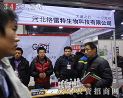 �ӱ�����������