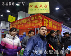 �ӱ��������Ƽ����޹�˾