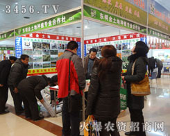 �|�������طNֲ������