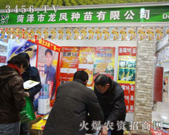 �ʝ������P�N�����޹�˾