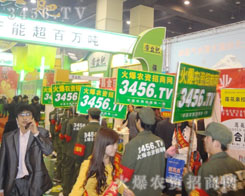 �𱬾W(w��ng)��(chu��ng)���·f��������ʽԽ��Խ�V�����Pע