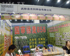 ����h�r(n��ng)�ƷN�I(y��)���޹�˾