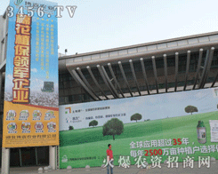 �ӱ�����