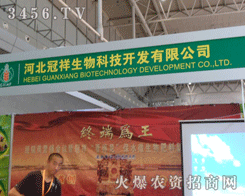 �ӱ���������Ƽ�