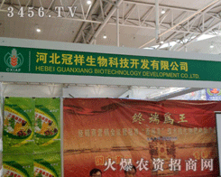 �ӱ���������Ƽ��_�l(f��)���޹�˾