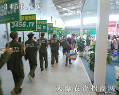 ���������ߵ���