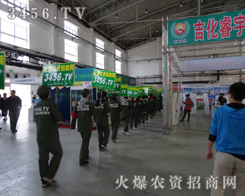 ���r(n��ng)�Y���̾W(w��ng)��2013�|�����ϕ����������^����һ��չʾ�ęC��