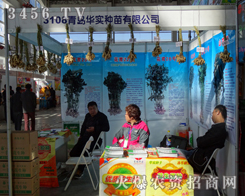 ���u�A���N�����޹�˾�����＾�ի@�ļ���(ji��)������2013�|�����ϕ�