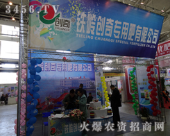 �F�X��(chu��ng)�挣�÷���2013�����L���r(n��ng)�Y����չʾ�a(ch��n)Ʒ