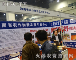 �����r(n��ng)������Ʒ�N����������2013���ݷN�ӕ���ݰ���