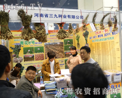 ���ŷN�I(y��)�����̤�M2013�����＾�N�ӕ�