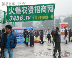 �����(du��)��ȫ���Ը���������������