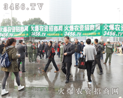 �������������̻�