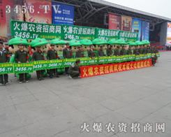 ��ͨ��ģ�����(du��)���2013���׏�(f��)�ʕ�(hu��)������һĨ��ɫ