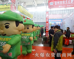 �������������̻�