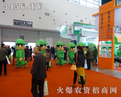 29���Ͼ�ֲ�����gӭ��ģ�������ĵ���