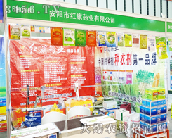 ����мt��ˎ�I(y��)�ڵ�29��ֲ����(hu��)��㡱M��