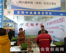 �������h�߲˺�����-���f�������y�ֹ��A��