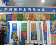 ɽ�|���ǷN�I(y��)�ںʝ��r�Y�����c����ͬ������