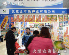 �������O����˾��ɽ�|�r(n��ng)�Y����ȡ�ð��˳ɿ�