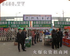 ���r(n��ng)�Y���̵ľGɫ����܊�F(tu��n)�(du��)�������f�r(n��ng)�Y��(hu��)��