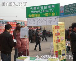 ���r(n��ng)�Y�W(w��ng)�oչ��(hu��)�ĬF(xi��n)��(ch��ng)Ϳ��һ���r�G�ɫ