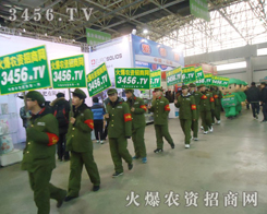 �ӱ�ֲ�����ϵ�̎��Ҋ���r(n��ng)�Y���̾W(w��ng)�ľGɫ܊�F(tu��n)����Ӱ