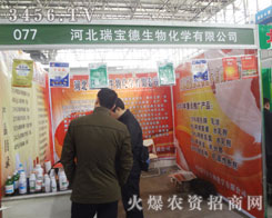 �ӱ������������ںӱ�ֲ����(hu��)�ϴ�չ�L(f��ng)��