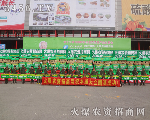 �r(n��ng)�Y�W(w��ng)վ���p������������p�����ϸɄ�ʮ����