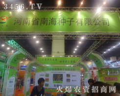 ����ʡ�Ϻ��N�ӹ�˾��2013�����ļ��N�ӕ�(hu��)������