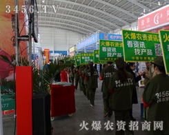 3456.TVʼ�K��͑����� ���͑�����