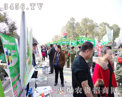 �^���ھ������������\(y��n)����